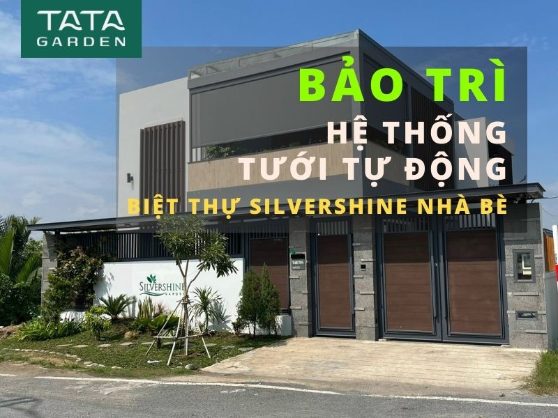 Bảo trì hệ thống tưới tự động cho biệt thự SilverShine Nhà Bè