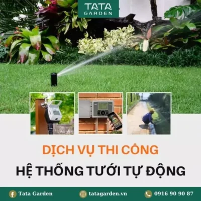 dịch vụ thi công hệ thống tưới tự động