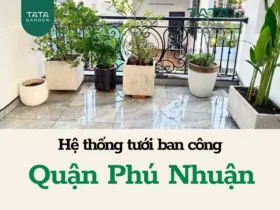 Lắp đặt hệ thống tưới cây tự động cho ban công tại Phú Nhuận – HCM