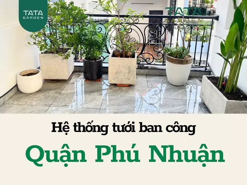 Lắp đặt hệ thống tưới cây tự động cho ban công tại Phú Nhuận – HCM