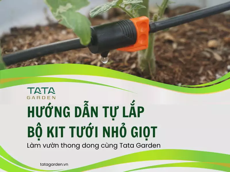Hướng dẫn tự lắp bộ KIT tưới nhỏ giọt tại nhà