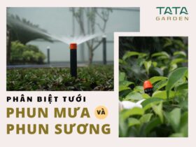 Phân biệt hệ thống tưới phun mưa và phun sương