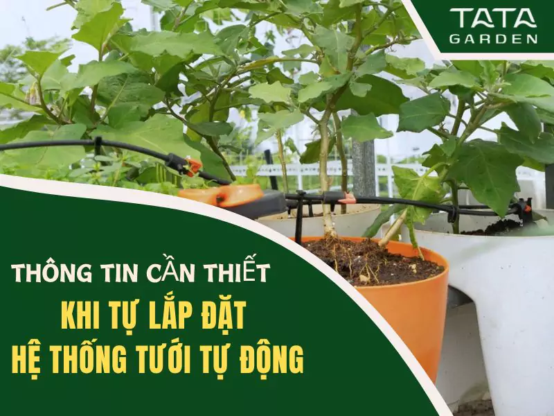 Những thông tin cần thiết khi tự lắp đặt hệ thống tưới tự động cho ban công, sân thượng