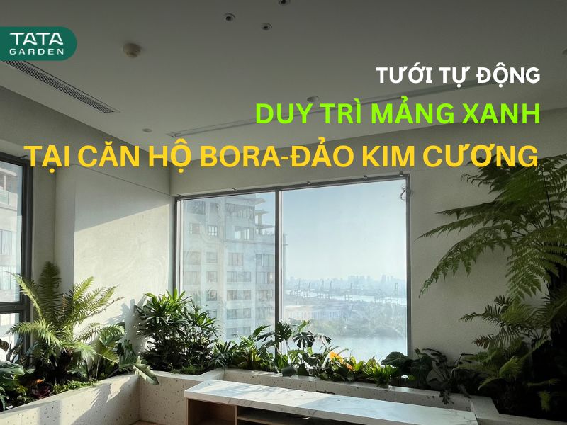 Lắp đặt hệ thống tưới tự động cho căn hộ Bora, Đảo Kim Cương – Giải pháp tưới hiệu quả cho cây xanh trồng trong nhà