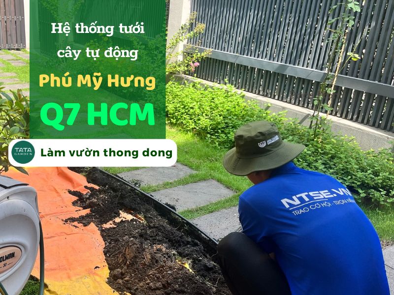 Thi công hệ thống tưới sân vườn tại Phú Mỹ Hưng, quận 7