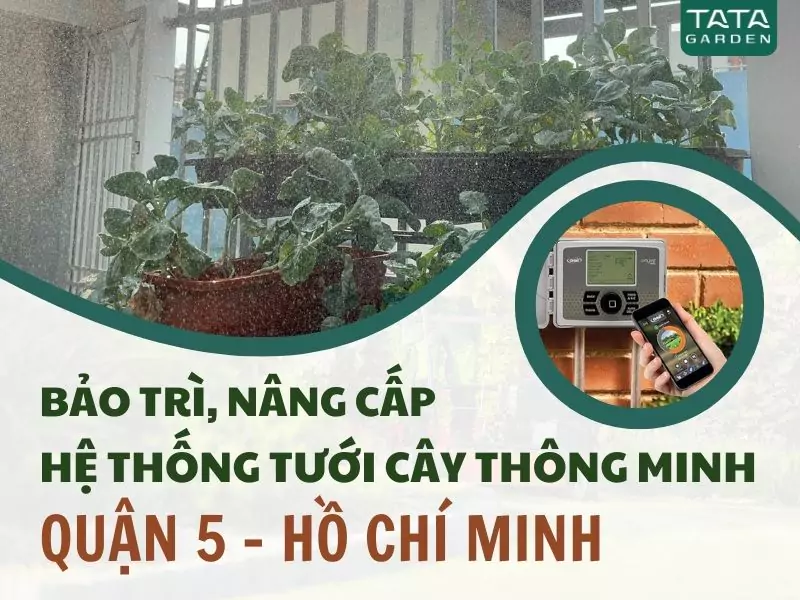Bảo trì, nâng cấp hệ thống tưới cây thông minh cho sân thượng quận 5 – HCM