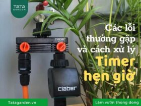 Mách bạn các lỗi thường gặp ở Timer hẹn giờ tưới cây và cách xử lý