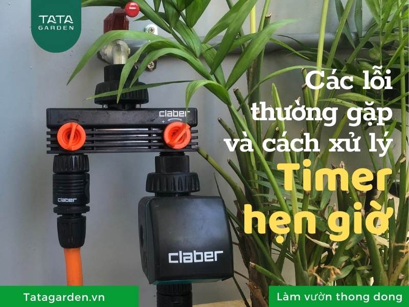Mách bạn các lỗi thường gặp ở Timer hẹn giờ tưới cây và cách xử lý