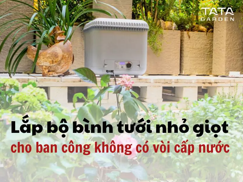 Giải pháp tưới tự động cho ban công không có vòi cấp nước – Lắp đặt bộ tưới cây nhỏ giọt cho khách hàng tại Hà Nội