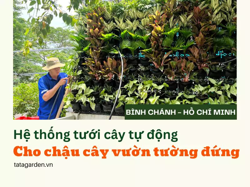 Lắp đặt hệ thống tưới tự động cho chậu cây vườn tường đứng tại Bình Chánh – Hồ Chí Minh