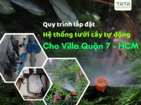 Quy trình thi công lắp đặt hệ thống tưới tự động cho Villa xây mới tại Quận 7 – HCM