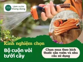 Tổng hợp kinh nghiệm chọn cuộn vòi nước tưới cây hiệu quả. Mới nhất 2024