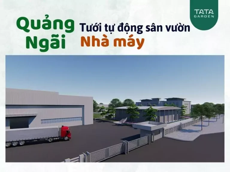 Thi công hệ thống tưới phun mưa tự động cho sân vườn nhà máy tại Quảng Ngãi