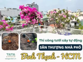 Thi công hệ thống tưới cây tự động sân thượng tại Bình Thạnh – Hồ Chí Minh