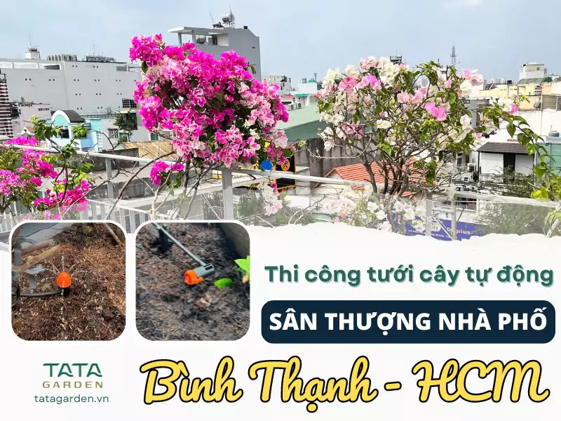 Thi công hệ thống tưới cây tự động sân thượng tại Bình Thạnh – Hồ Chí Minh
