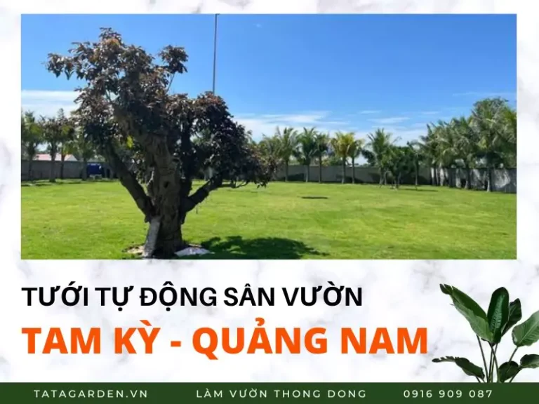 Thi công hệ thống tưới cây tự động cho sân vườn lớn tại Tam Kỳ, Quảng Nam