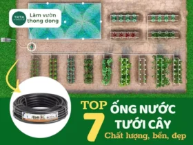 Top 7 cuộn ống nước tưới cây siêu bền, siêu chất lượng. Mới nhất 2025