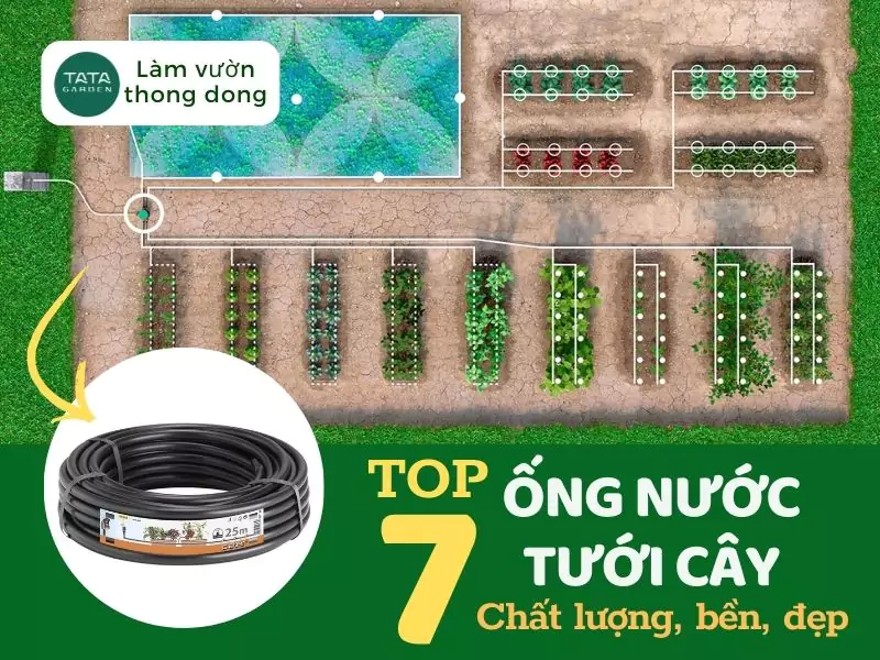Top 7 cuộn ống nước tưới cây siêu bền, siêu chất lượng. Mới nhất 2025