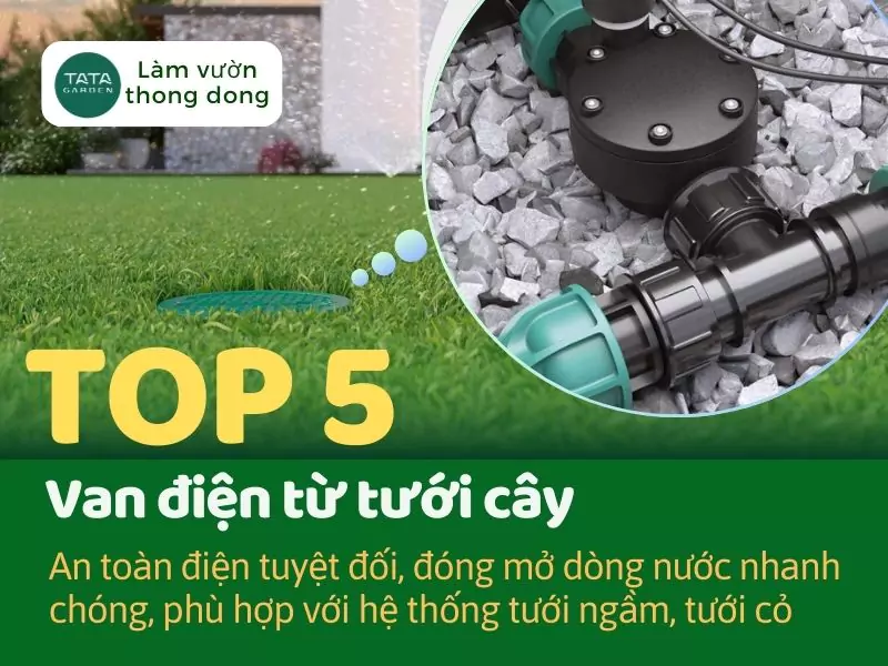 Top 5 van điện từ tưới cây loại tốt, đảm bảo an toàn điện cho lĩnh vực tưới. Mới nhất 2025