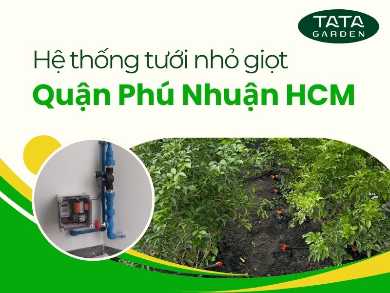 Thi công lắp đặt hệ thống tưới nhỏ giọt cho khách hàng tại quận Phú Nhuận