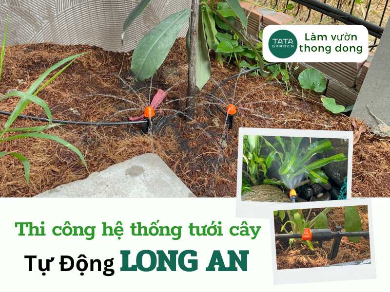 Thi công hệ thống tưới cây tự động tại tỉnh Long An