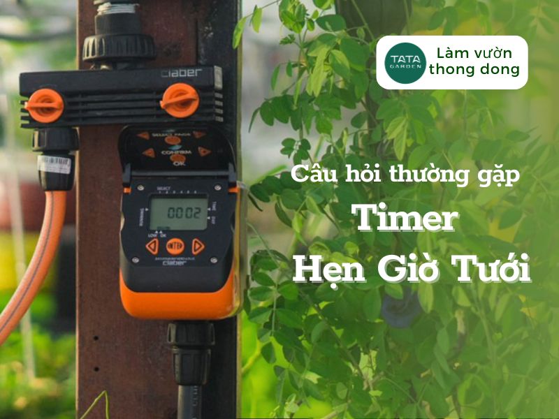 Tổng hợp câu hỏi thường gặp về timer hẹn giờ tưới cây