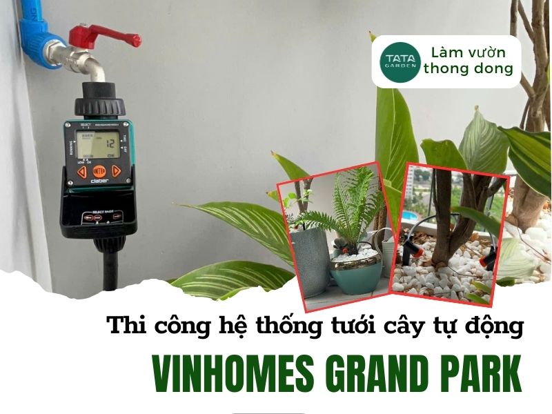 Thi công hệ thống tưới tự động ban công Vinhomes Grand Park