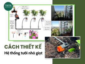 5 Bước tự thiết kế hệ thống tưới nhỏ giọt cho người không chuyên