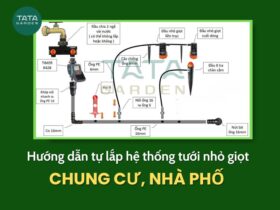 Cách tự lắp hệ thống tưới nhỏ giọt cho chung cư, nhà phố đơn giản