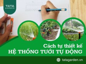 Cách tự thiết kế hệ thống tưới tự động đơn giản cho người không chuyên