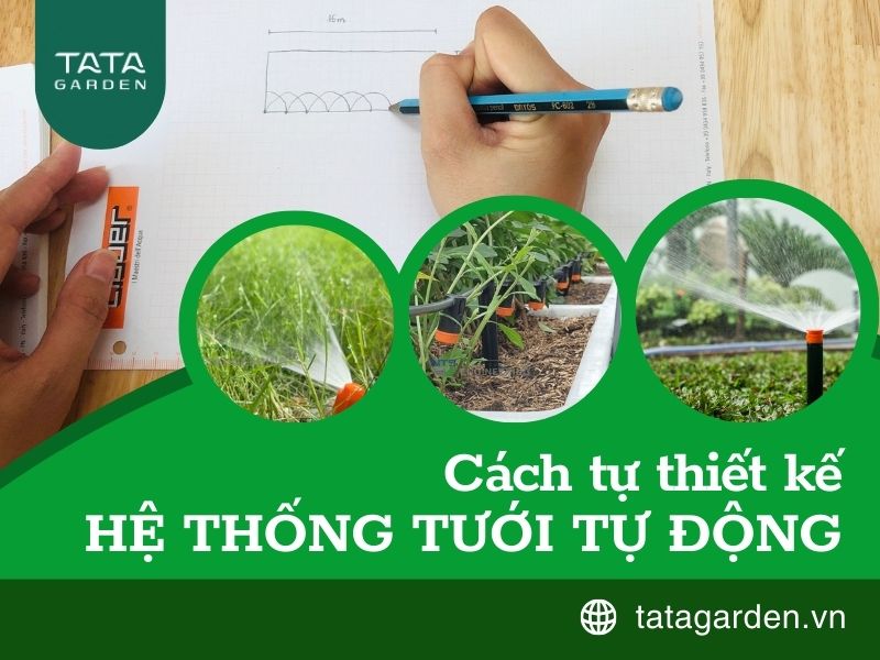 Cách tự thiết kế hệ thống tưới tự động đơn giản cho người không chuyên