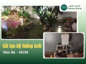 Cải tạo hệ thống tưới cây tự động biệt thự tại Nhà Bè