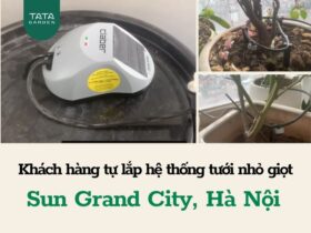Khách hàng tự lắp hệ thống tưới nhỏ giọt ban công tại Sun Grand City, Hà Nội
