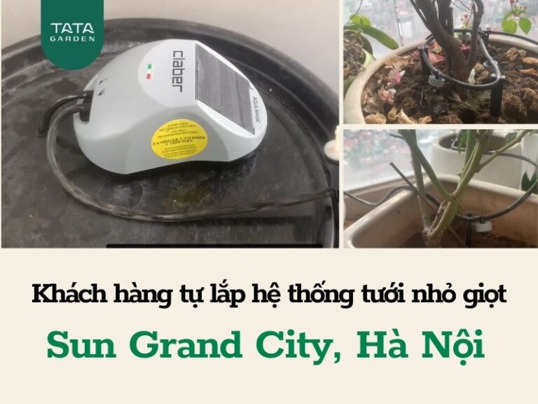 Khách hàng tự lắp hệ thống tưới nhỏ giọt ban công tại Sun Grand City, Hà Nội