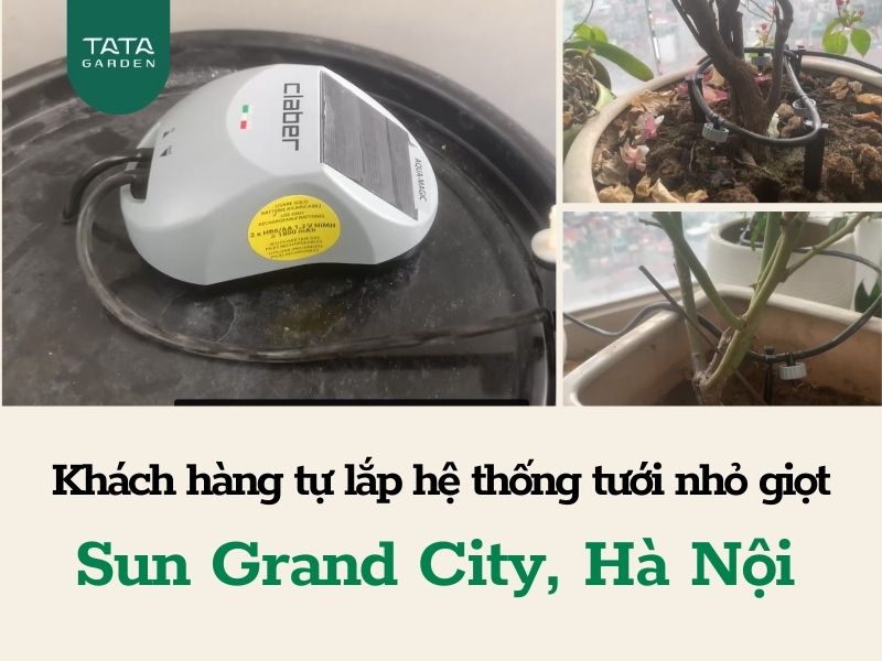 Khách hàng tự lắp hệ thống tưới nhỏ giọt ban công tại Sun Grand City, Hà Nội