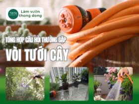 Top những câu hỏi thường gặp về vòi xịt tưới cây đáng quan tâm nhất