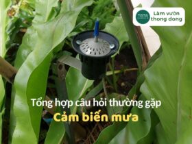 Tổng hợp các câu hỏi thường gặp về cảm biến mưa Claber Rain sensor Pro