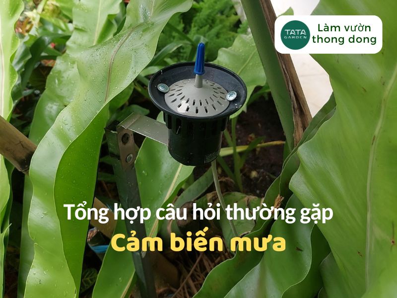 Tổng hợp các câu hỏi thường gặp về cảm biến mưa Claber Rain sensor Pro