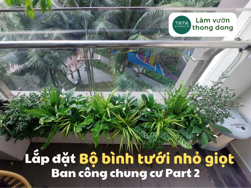 Thi công bình tưới nhỏ giọt Aqualux – Giải pháp cho ban công tại Park 2 Vinhome Central park