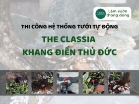 Lắp đặt hệ thống tưới sân vườn tự động tại The Classia Khang Điền Thủ Đức