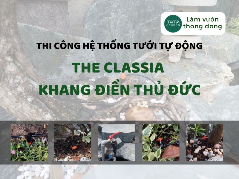 Lắp đặt hệ thống tưới sân vườn tự động tại The Classia Khang Điền Thủ Đức