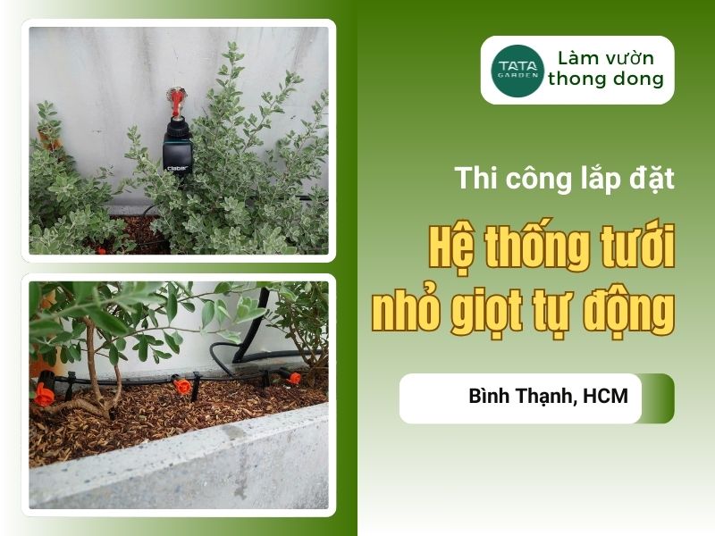 Thi công hệ thống tưới cây tự động nhỏ giọt tại Bình Thạnh