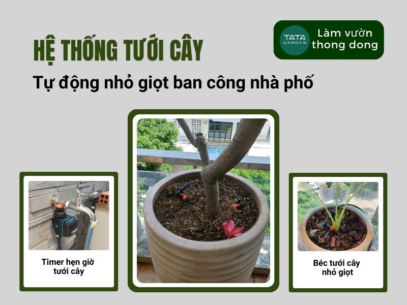 Lắp đặt hệ thống tưới cây tự động nhỏ giọt cho ban công nhà phố quận 12