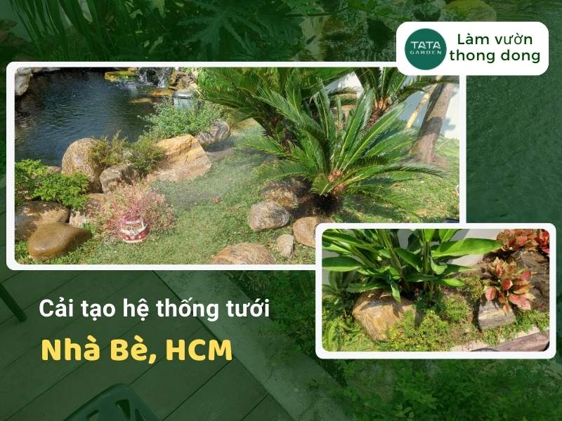 Cải tạo hệ thống tưới cây tự động tại Nhà Bè, Hồ Chí Minh