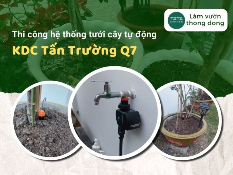Thi công hệ thống tưới cây tự động nhà khách hàng tại KDC Tấn Trường Q7