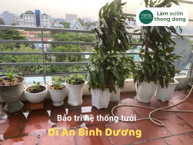 Thi công hệ thống tưới cây tự động nhỏ giọt Dĩ An, Bình Dương