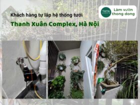 Khách hàng tự lắp hệ thống tưới cây tự động tại Thanh Xuân Complex Hà Nội