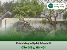 Hệ thống tưới cây tự động sân vườn nhà khách tại Cầu Giấy, Hà Nội