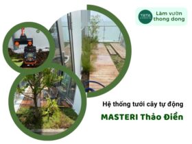 Thi công hệ thống tưới cây tự động sân vườn tại MASTERI Thảo Điền, Thủ Đức